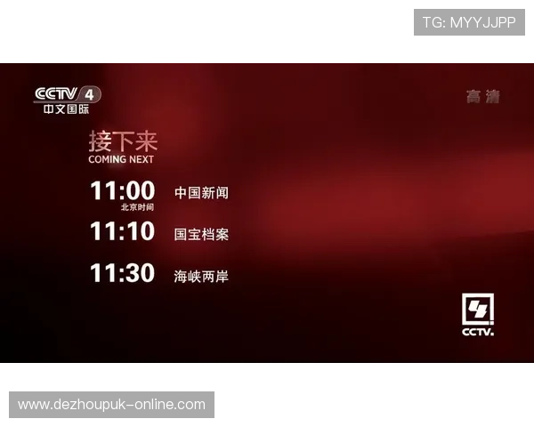 分析21个国外中文网站的内容特色，帮助用户找到最适合的海外中文平台